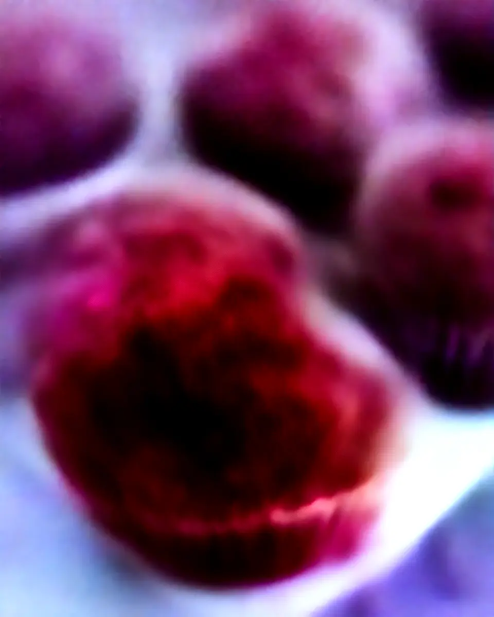 Chocolate Zucchini Muffins – Gluten Free and Deliciously Moist